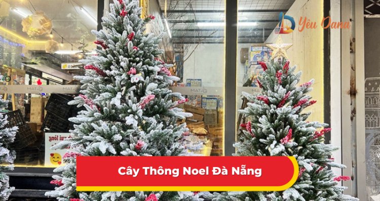 Cây Thông Noel Đà Nẵng