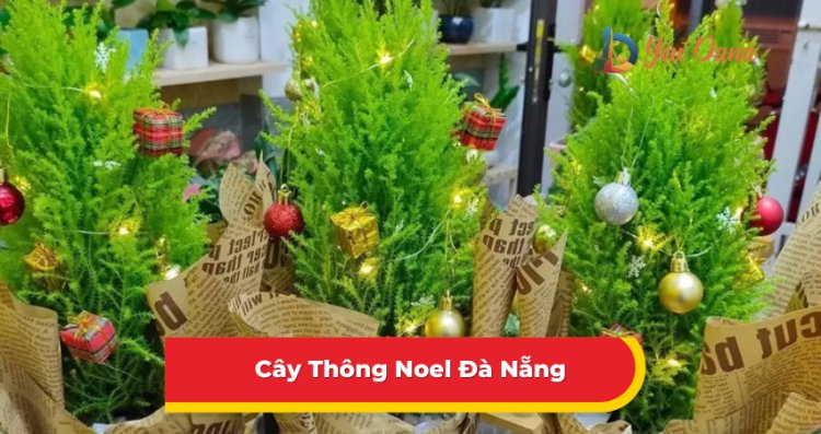 Cây Thông Noel Đà Nẵng