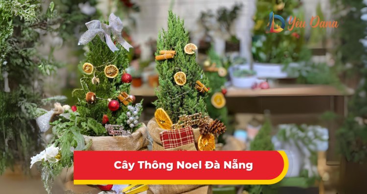 Cây Thông Noel Đà Nẵng