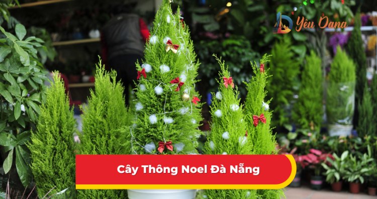 Cây Thông Noel Đà Nẵng: Top 10 Cửa Hàng Giá Tốt 2024