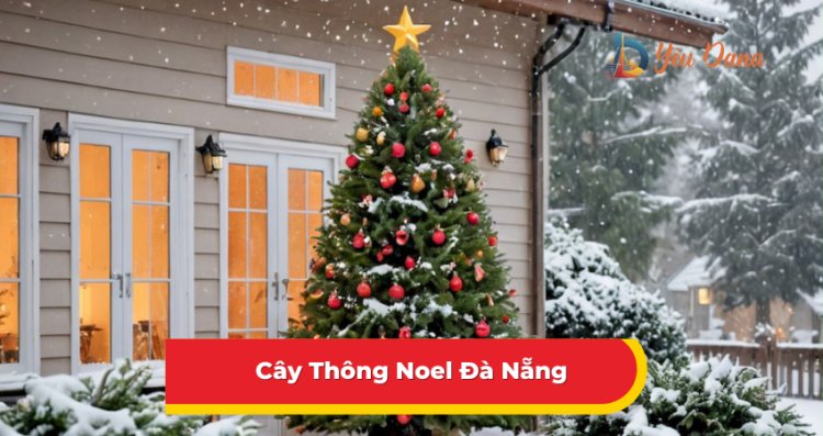 Cây Thông Noel Đà Nẵng